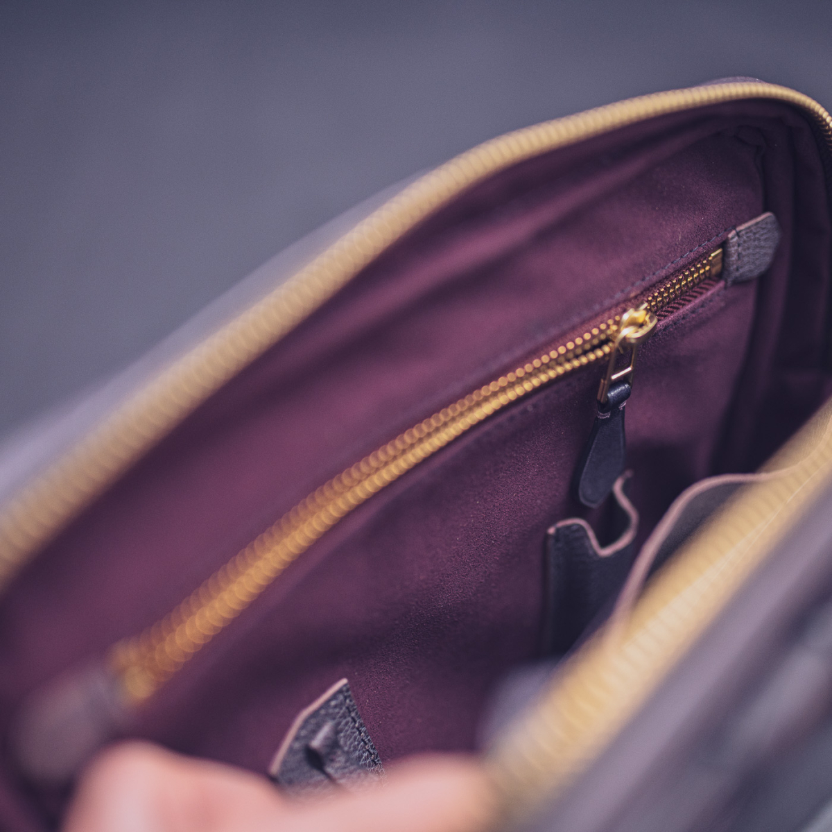 Сумка через плече TITE Street: Chèvre aubergine gray & Alligator fig gray